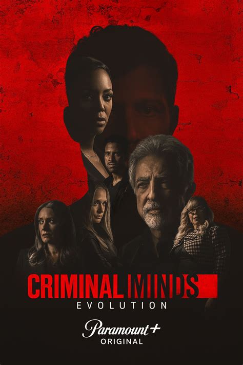 criminal minds evolution torrent|criminal minds download torrent.